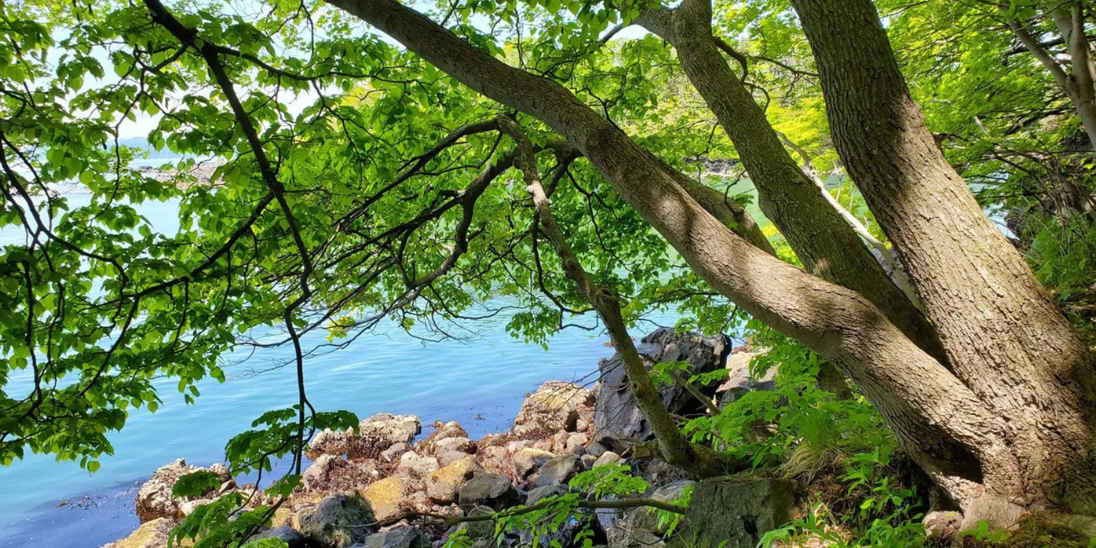 半日からOK！洞爺湖有珠山ジオパーク周辺を巡る完全オーダーメイドプラン|Sotoasobu