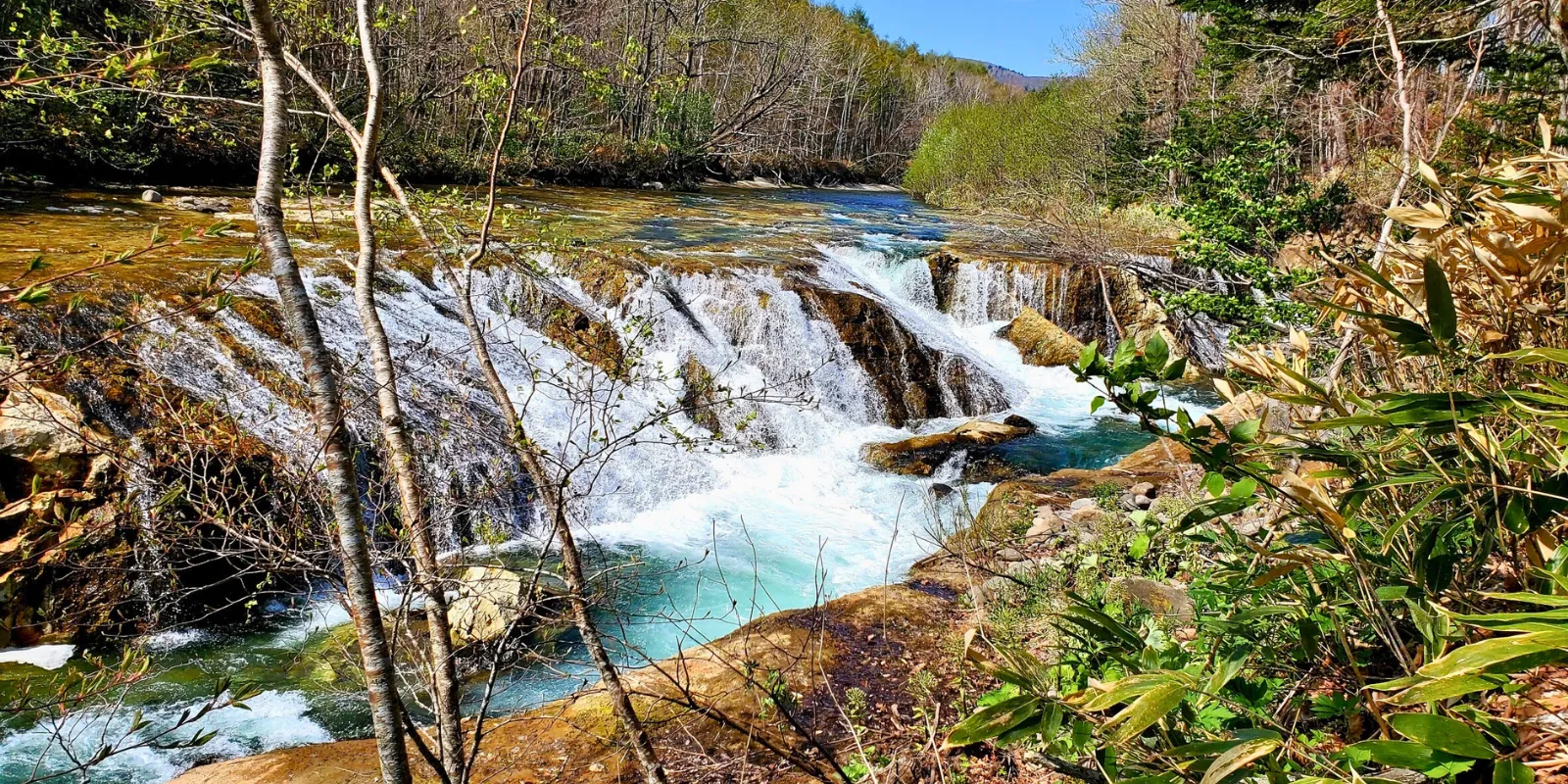 洞爺湖有珠山ジオパーク　ネイチャーガイド　オーダーメイドツアーSotoasobu